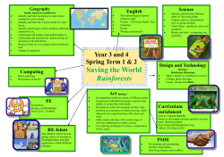 Topic Web Rainforests