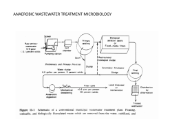 ANAEROBIC WASTEWATER TREATMENT MICROBIOLOGY