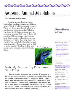 Awesome Animal Adaptations
