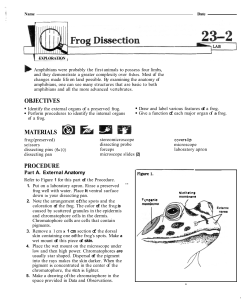 Frog Dissection Packet