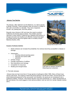 Arbutus Tree Decline