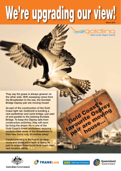 They say the grass is always greener on the other side