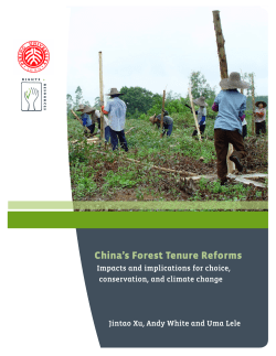 China`s Forest Tenure Reforms - Rights and Resources Initiative