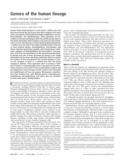 Genera of the human lineage