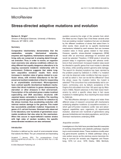 Stressdirected adaptive mutations and evolution