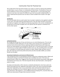 Community Trees for Practical Use
