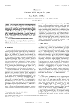 Nuclear RNA export in yeast