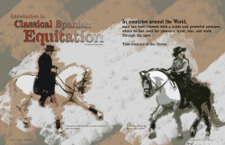 Introduction to Classical Spanish Equitation