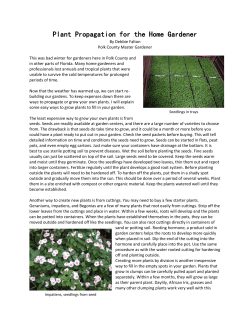 Plant propagation for the home Gardener
