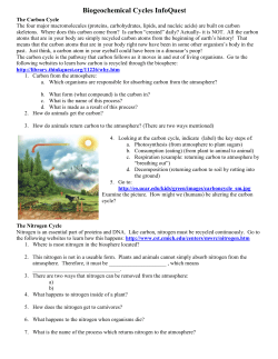 Biogeochemical Cycles InfoQuest