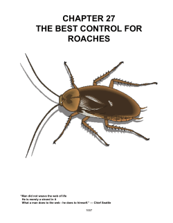 Chapter 27 - The Best Control for Cockroaches