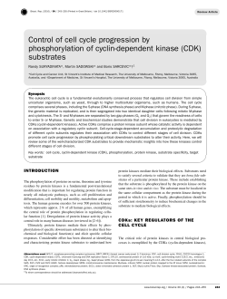 Control of cell cycle progression by phosphorylation of cyclin