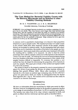 The Urea Method for Bacterial Viability Counts with