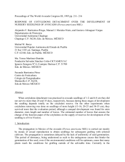 RESPONSE OF COTYLEDONS DETACHMENT OVER THE