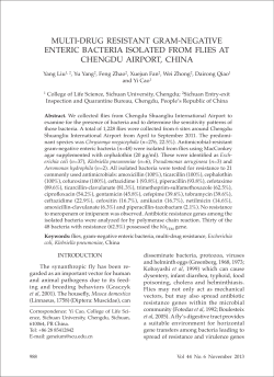 multi-drug resistant gram-negative enteric bacteria isolated from flies