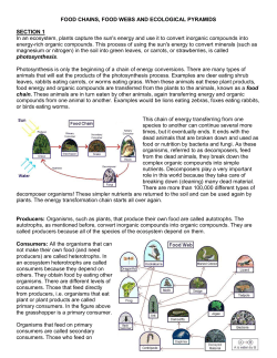 food chains, food webs and ecological pyramids - Mrs. Corse