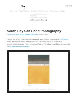 South Bay Salt Pond Photography