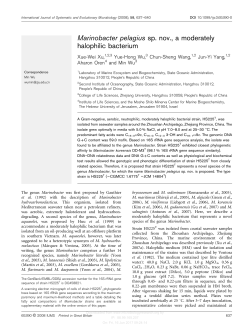 Marinobacter pelagius sp. nov., a moderately halophilic bacterium