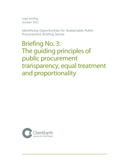 Briefing No. 3: The guiding principles of public