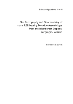 Ore Petrography and Geochemistry of some REE-bearing Fe