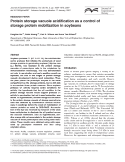 Protein storage vacuole acidification as a control of storage protein