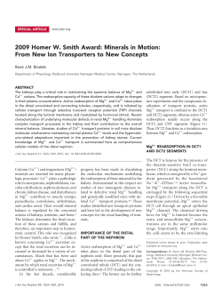 2009 Homer W. Smith Award: Minerals in Motion: From New Ion