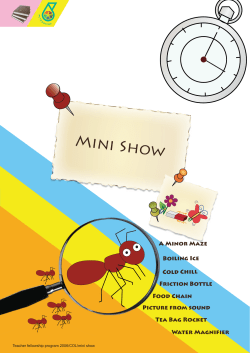 mini show page