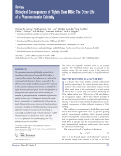 Biological consequences of tightly bent DNA: The other life of a