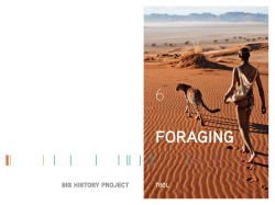 FORAGING - Big History Project