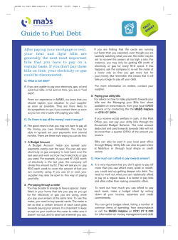 Guide to Fuel debt:Layout 1