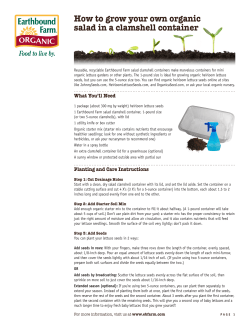 How to grow your own organic salad in a clamshell container