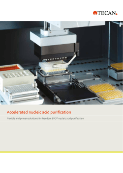 Accelerated nucleic acid purification