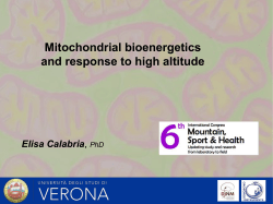 Mitochondrial bioenergetics and response to high altitude