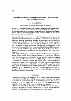 Nuclear Fusion and Reorganization in a