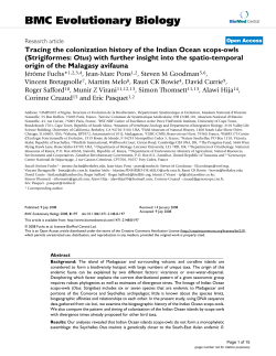 Strigiformes: Otus - The Peregrine Fund
