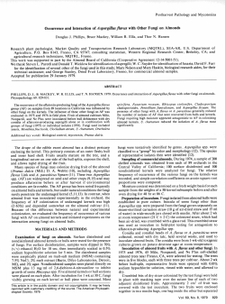 Occurrence and Interaction of A spergillus flavus with Other Fungi on