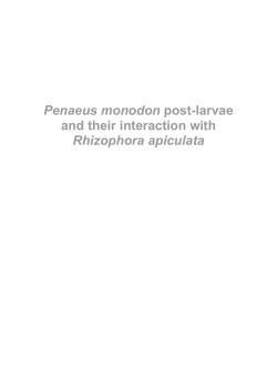 Penaeus monodon post-larvae and their interaction with Rhizophora
