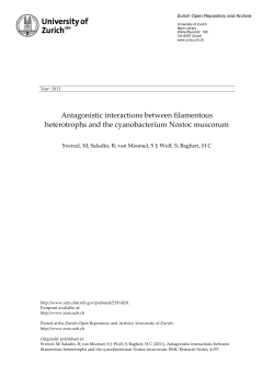 Antagonistic interactions between filamentous heterotrophs and the