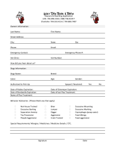 Join us at Lucky Dog-Click here for your downloadable day care