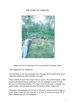 the story of charcoal