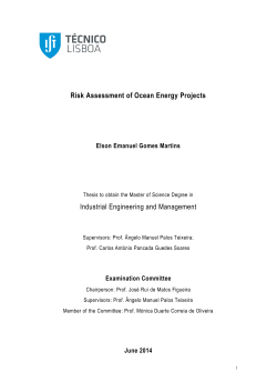 Risk Assessment of Ocean Energy Projects