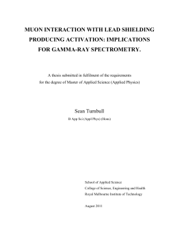 muon interaction with lead shielding producing activation