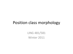 Position class morphology