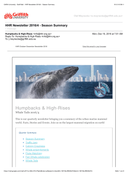 - Humpbacks and Highrises