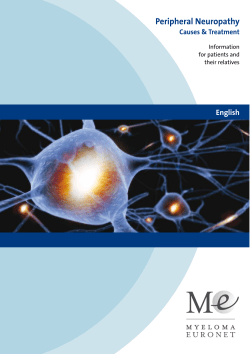 Peripheral Neuropathy - Myelom-Gruppe Rhein-Main