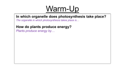 Anaerobic Cellular Respiration