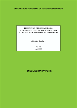 the flying geese paradigm: a critical study of its application