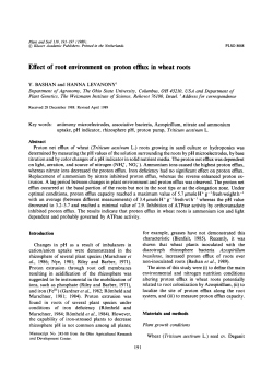 Effect of root environment on proton efflux in wheat roots