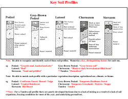 Key Soil Profiles