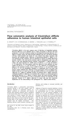 Flow cytometric analysis of Clostridium difficile adherence to human